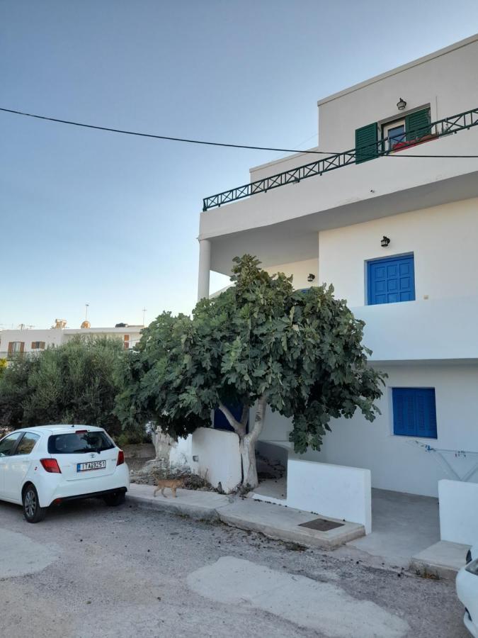 Traditional Full Equipment House Appartement Adamantas  Buitenkant foto